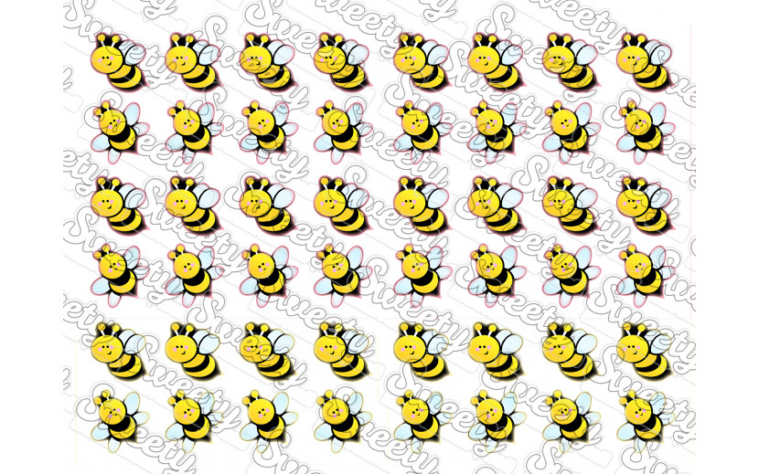 טרנספר ראש השנה 48 דבורים