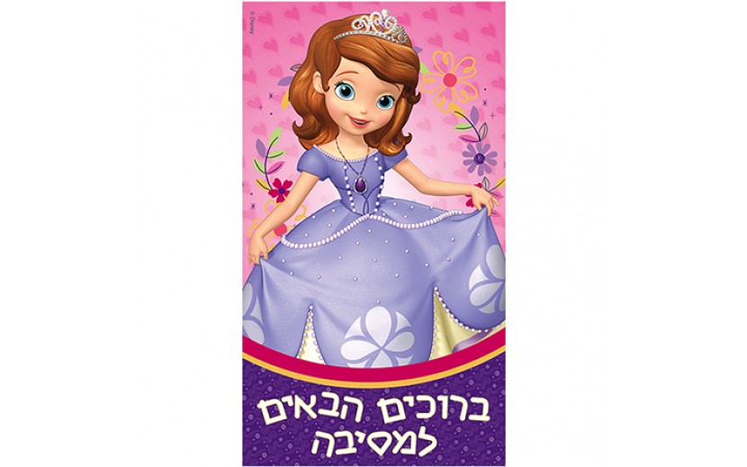 כרזה גדולה לדלת סופיה