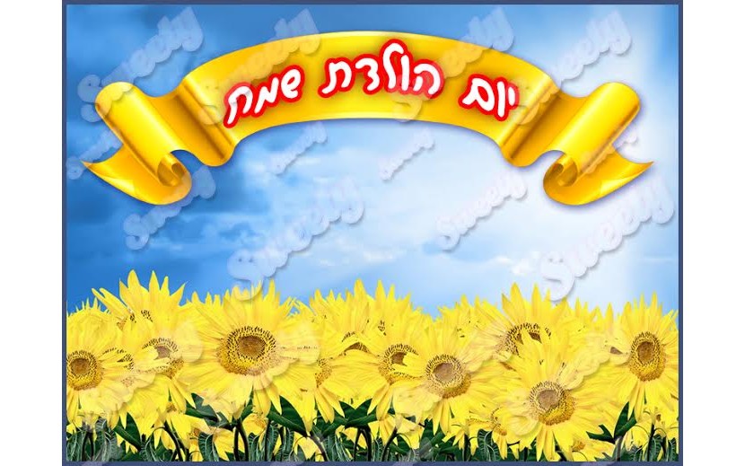 תמונה אכילה חמניות 8