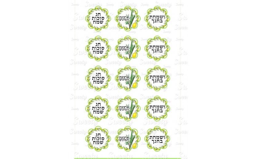 טרנספר סוכות פרחים 2 מספר 311