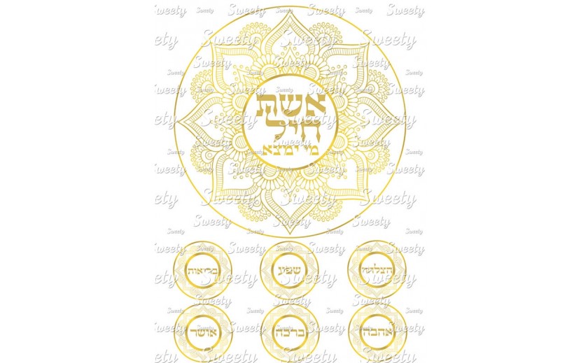 טרנספר לעוגה אשת חיל 504