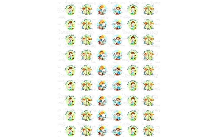 טרנספר לנשיקות טו בשבט 762