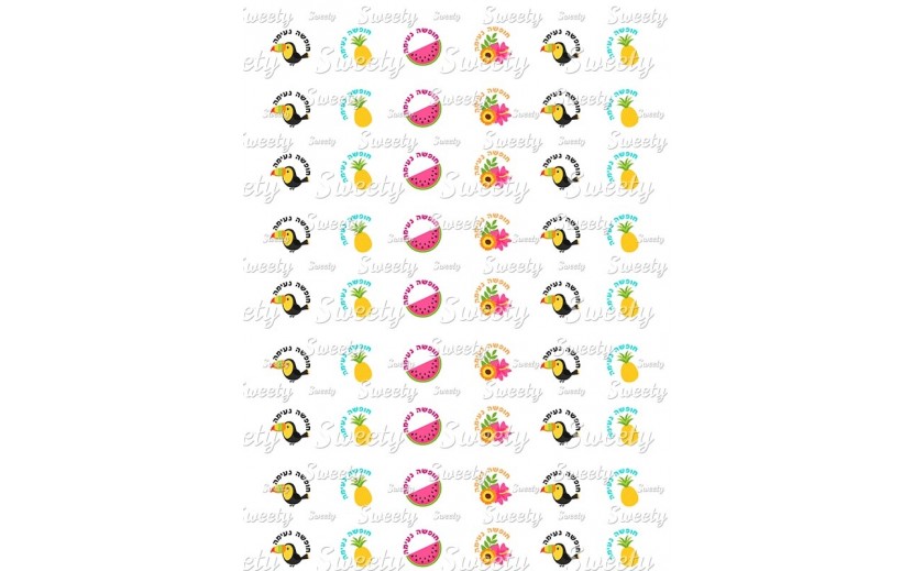 טרנספר קיץ לנשיקות 192