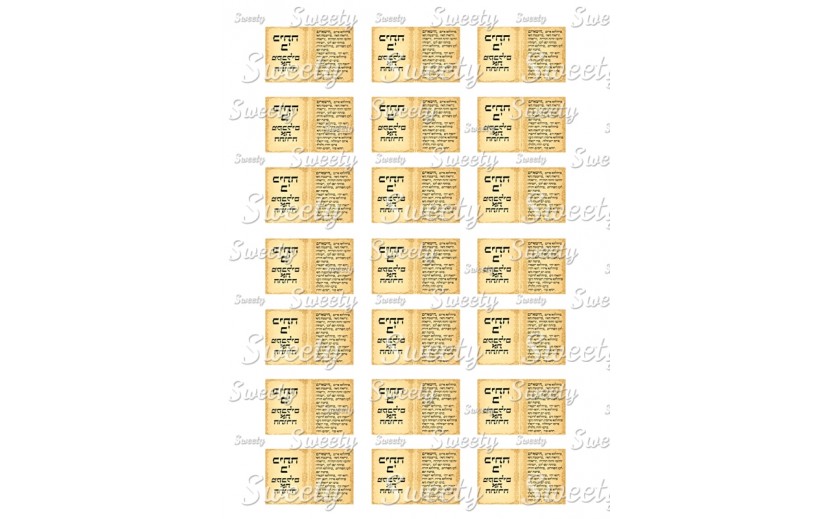 טרנספר לשבלונת פתי בר קבלת ספר תורה 348