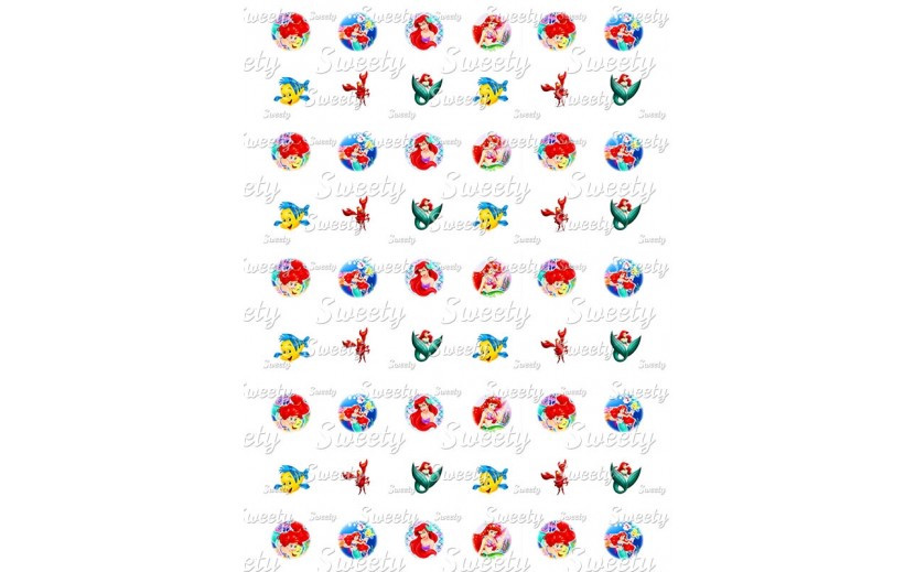 טרנספר נשיקות בת הים 204