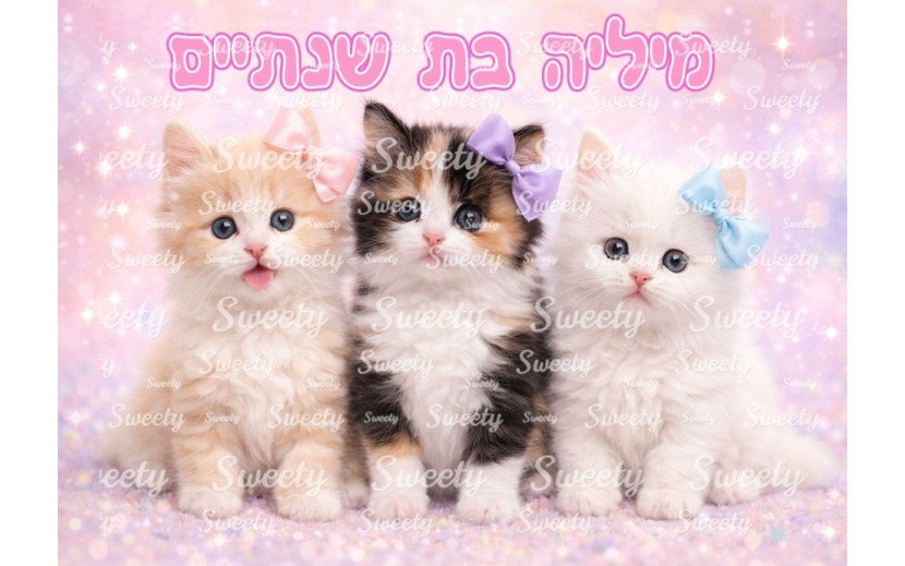 תמונה אכילה חתולים 48