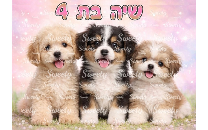 תמונה אכילה כלכלבים 49