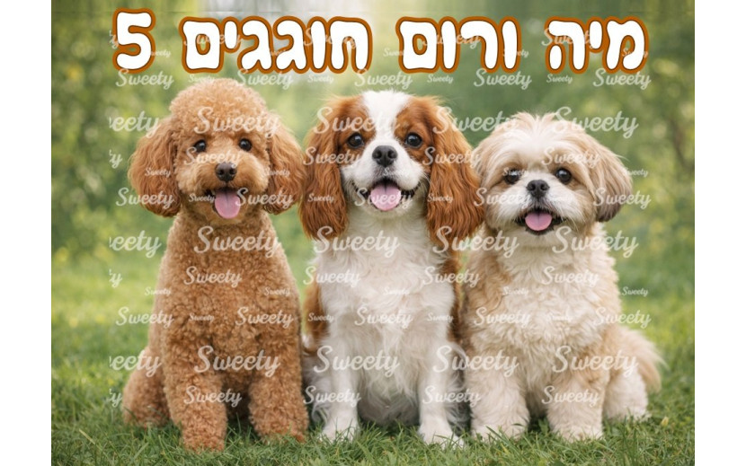 תמונה אכילה כלבלבים 50