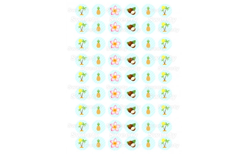 שקף טרנספר לנשיקות טרופי 513