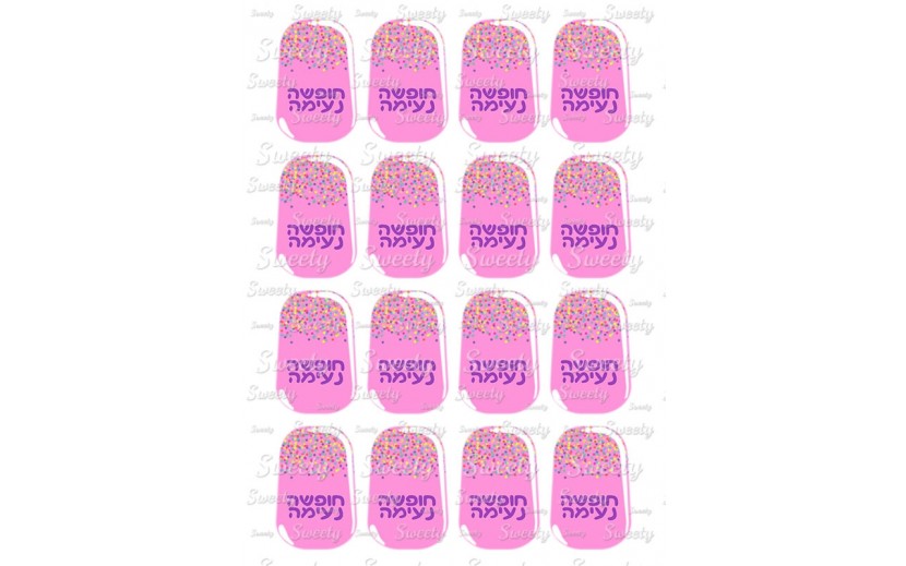 טרנספר דגם מגנום 277
