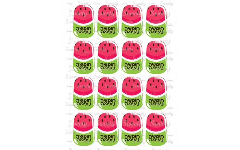 טרנספר דגם מגנום 297