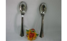 כף גדולה כסופה לסלט