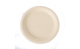 צלחות גדולות קראפט מתכלות