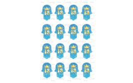 טרנספר חמסה בר מצווה 247