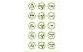 טרנספר סוכות פרחים 2 מספר 311