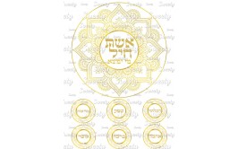 טרנספר לעוגה אשת חיל 504