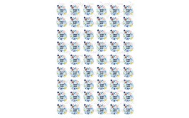 שקף טרנספר לנשיקות ברית 77