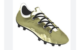 מפיות נעל כדורגל זהב