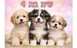 תמונה אכילה כלכלבים 49