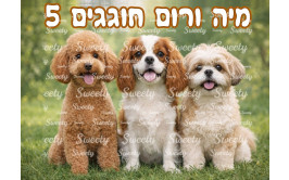 תמונה אכילה כלבלבים 50