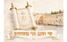 תמונה אכילה בר מצווה 743
