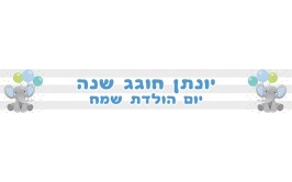  באנר עם כיתוב אישי פילפילון תכלת