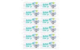 גליון מיתוג מדבקות פילפילון תכלת 4 על 9 ס"מ