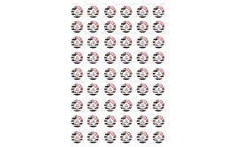 טרנספר לנשיקות ראש השנה 302