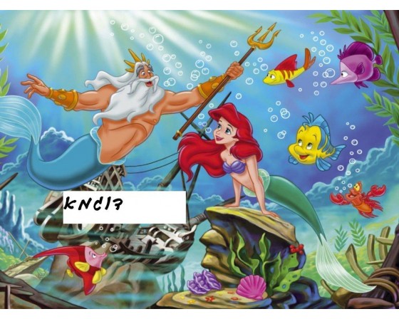 תמונה אכילה בת הים 83
