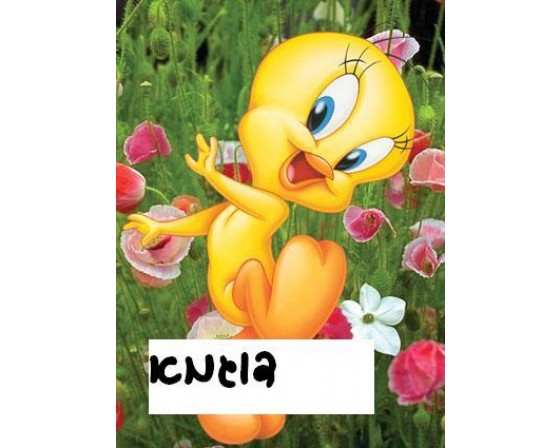תמונה אכילה טוויטי 702