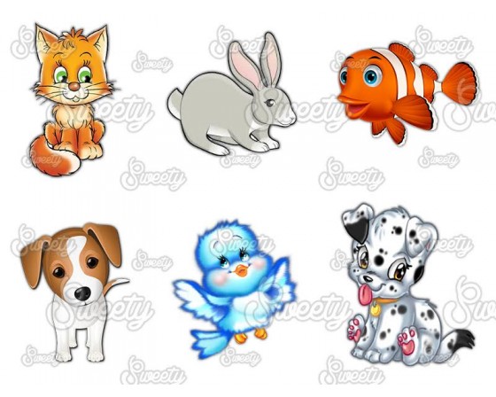 שקף טרנספר לשוקולד דגם חיות 2