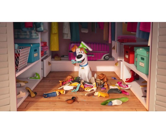 תמונה אכילה החיים הסודיים של חיות המחמד 32