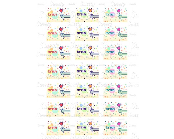 טרנספר לשבלונת פתי בר יום המורה 611