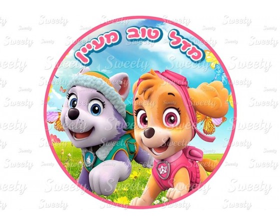 תמונה אכילה עגולה מפרץ ההרפתקאות 914