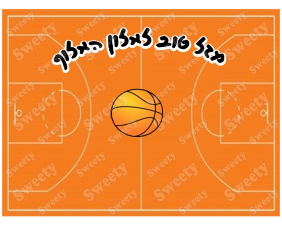 תמונה אכילה מגרש כדורסל 710