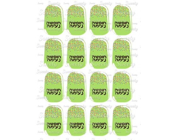 טרנספר דגם מגנום 275