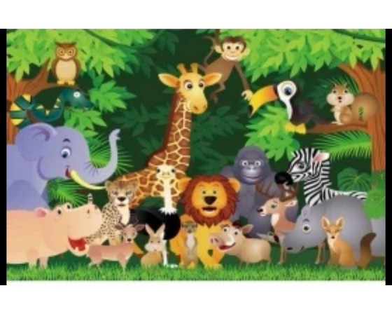 רקע שולחן /צילום מבד דגם חיות