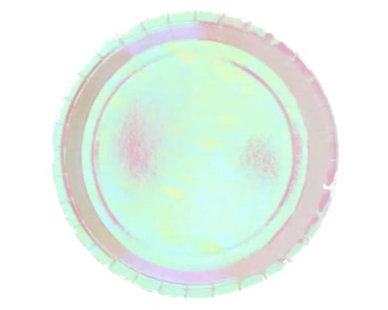  צלחות קוטר 23 ס"מ קרטון אינדסיט מבריק צבע לבן