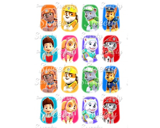 טרנספר דגם מפרץ ההרפתקאות 324 